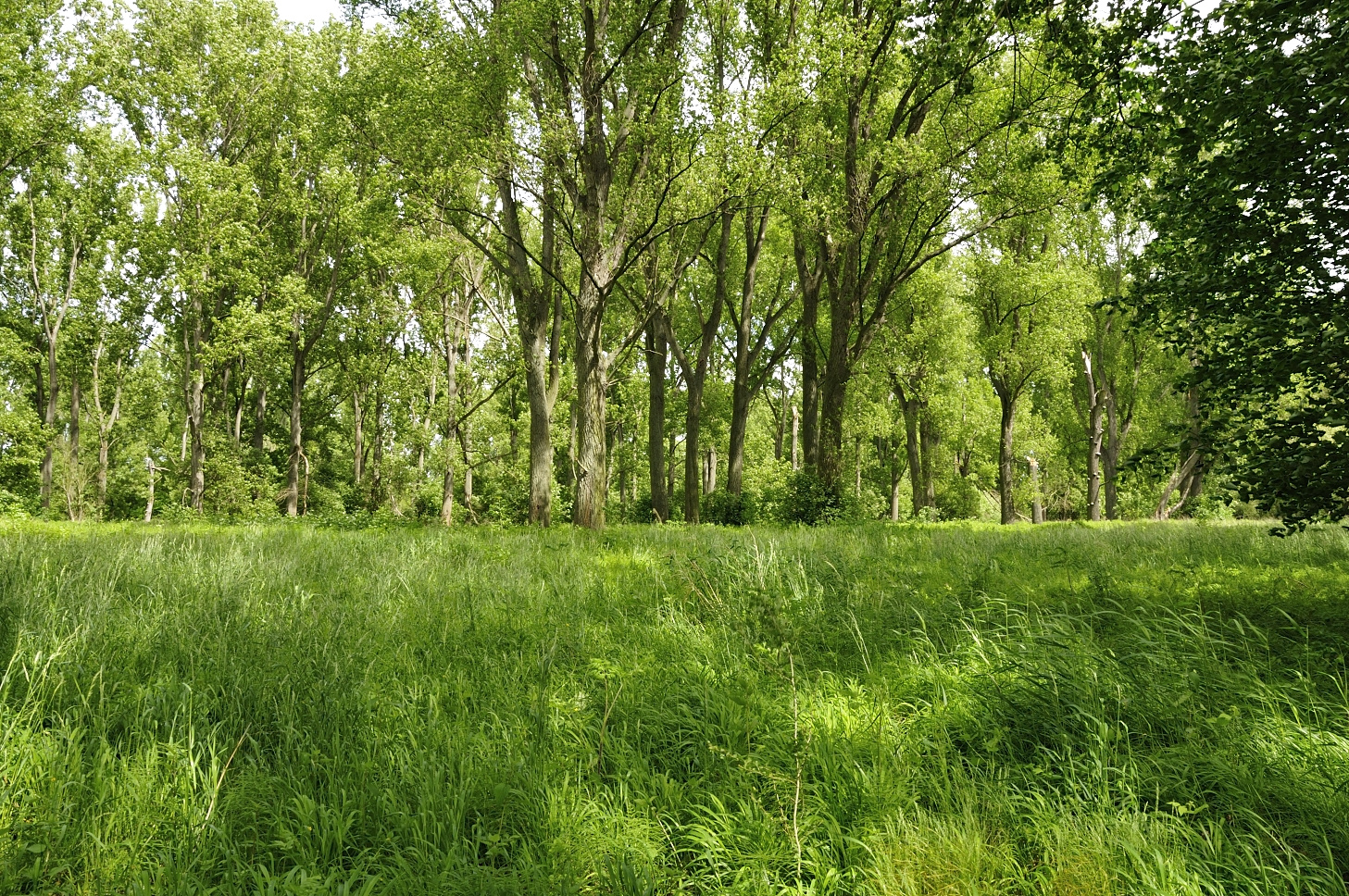 An Rhein und Sieg