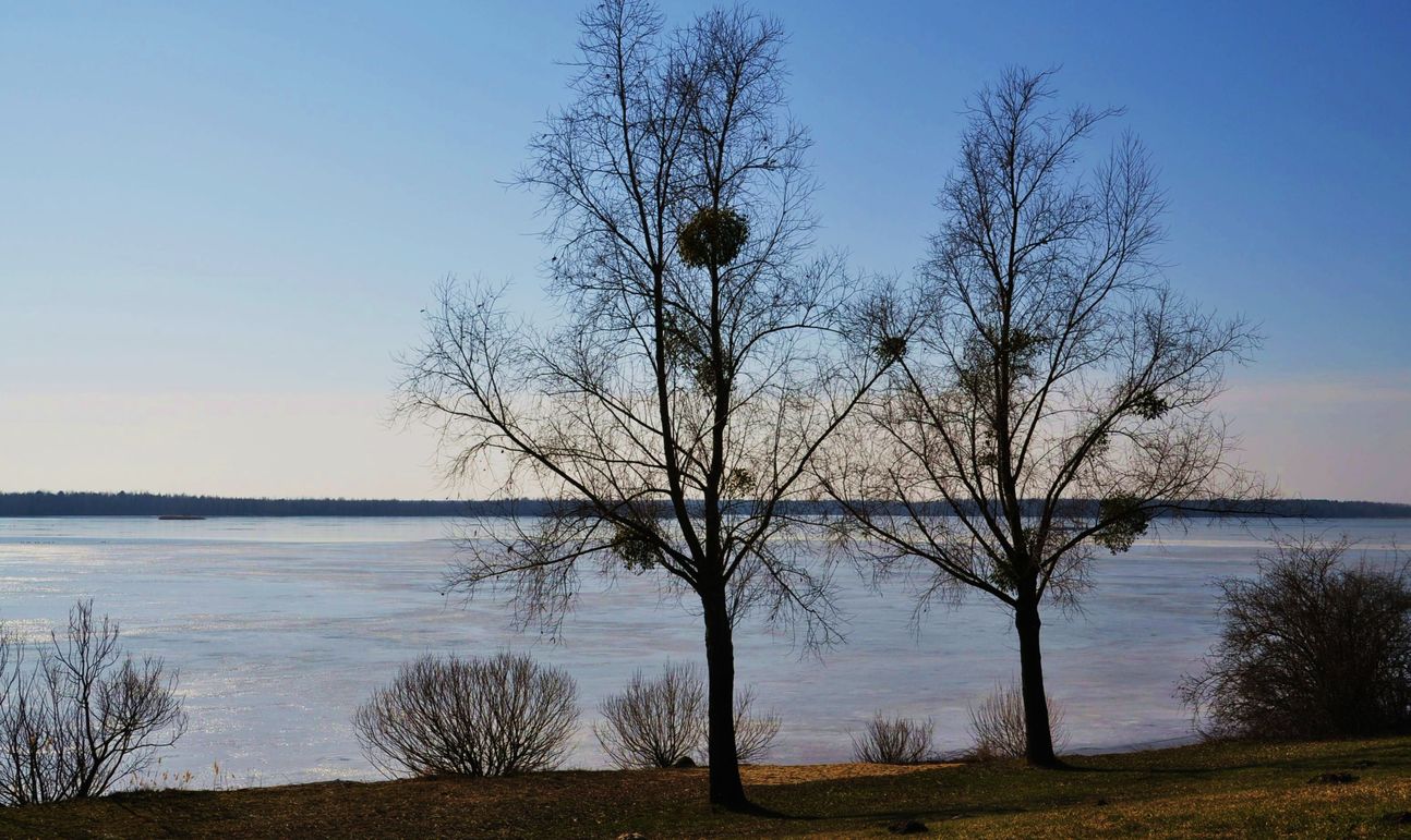 An Senftenberger See