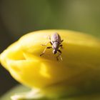 an so einem Frühlingstag entdeckt man so einiges :)