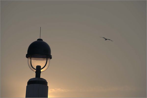 An sonnigen Sonntagen...