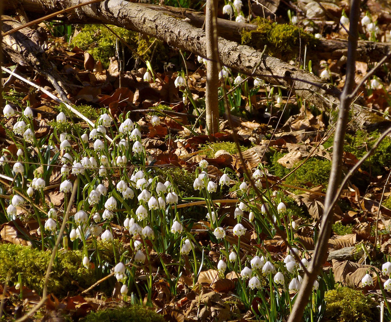 An sonnigen Stellen