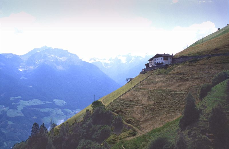 An steilen Hängen im Vinschgau