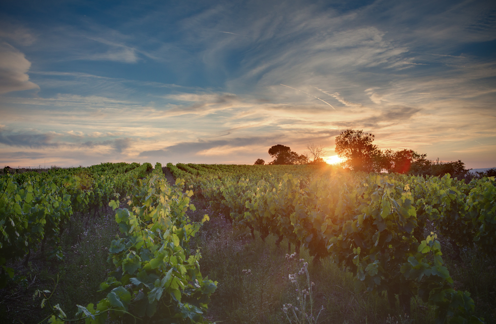 An Sunset Dream in France