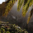 An Teneriffas Küste / Masca im Teno-Gebirge