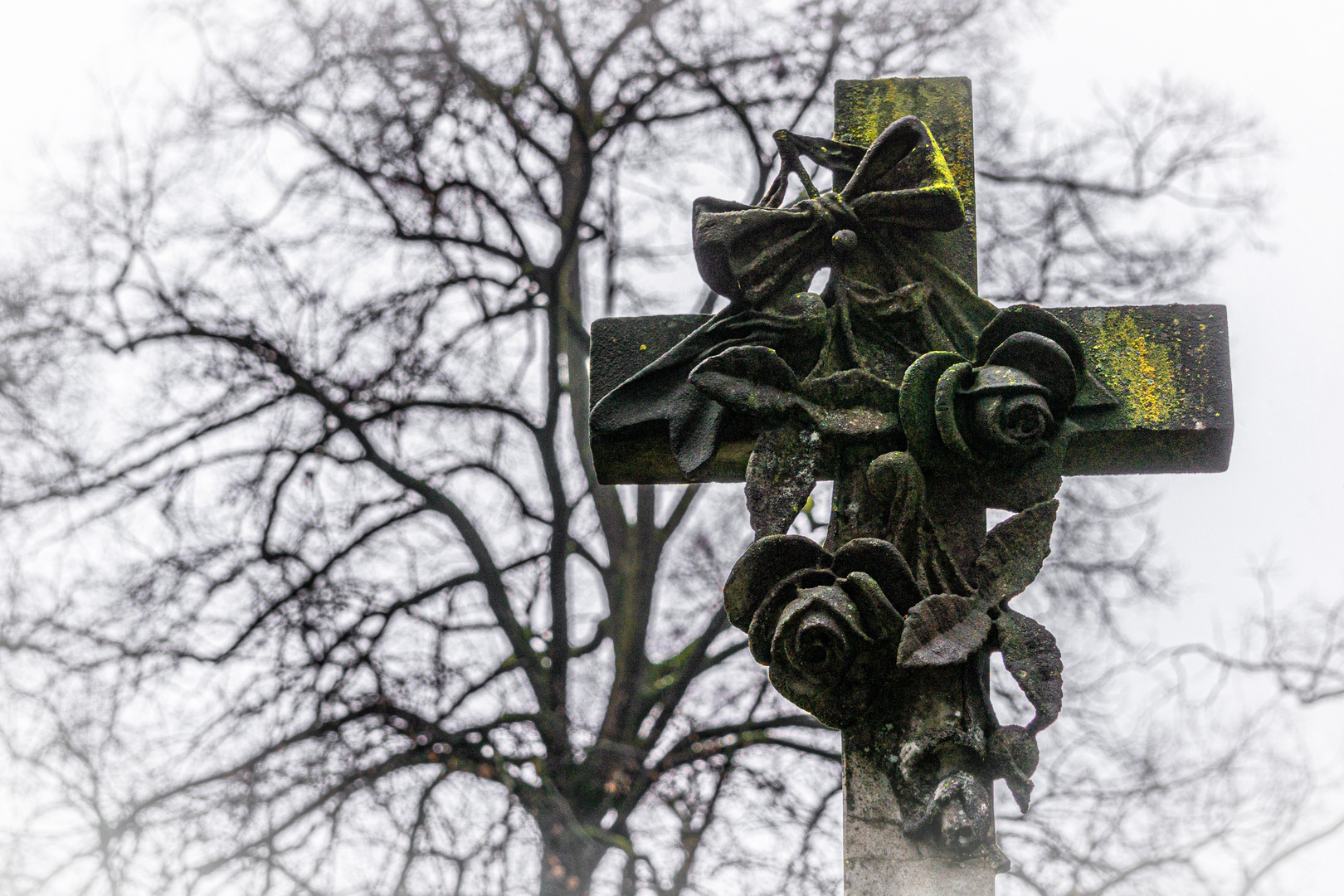 An trüben Tagen ist der alte Friedhof in Memmingen immer eine gute Lokation.