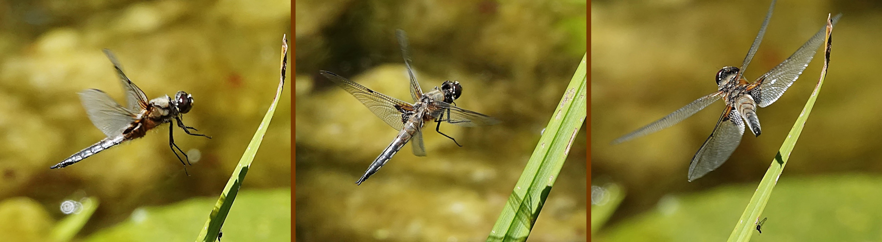 An- und Abflug