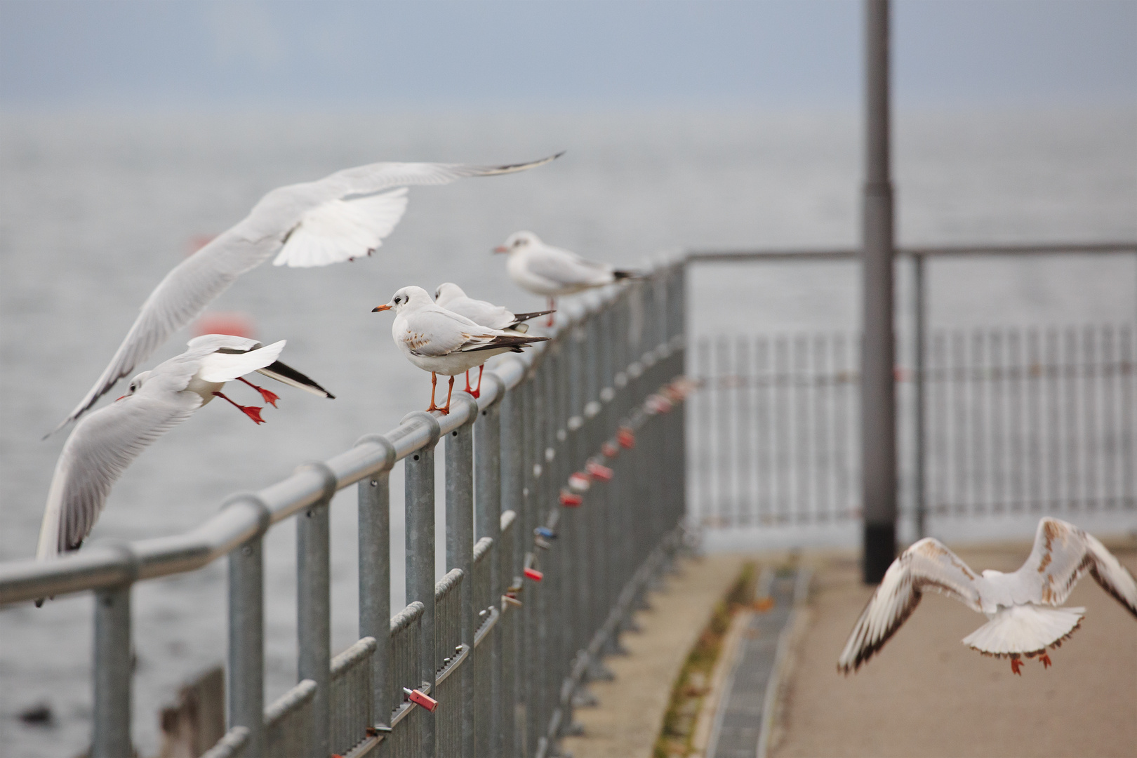 An- und Abflug