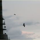 An- und Abflug am Fernmeldeturm/Mannheim