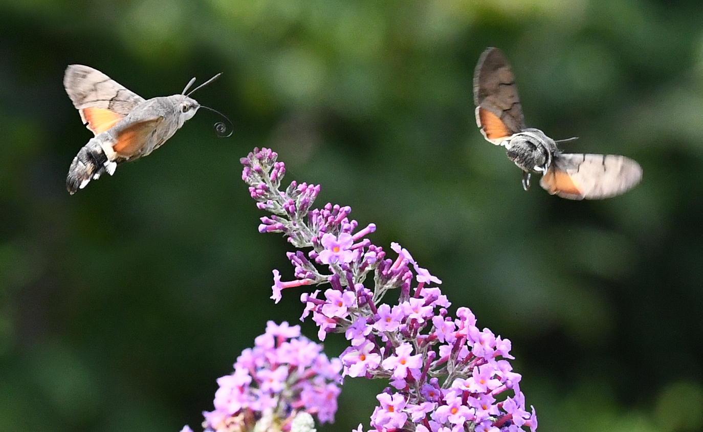 An- und Abflug