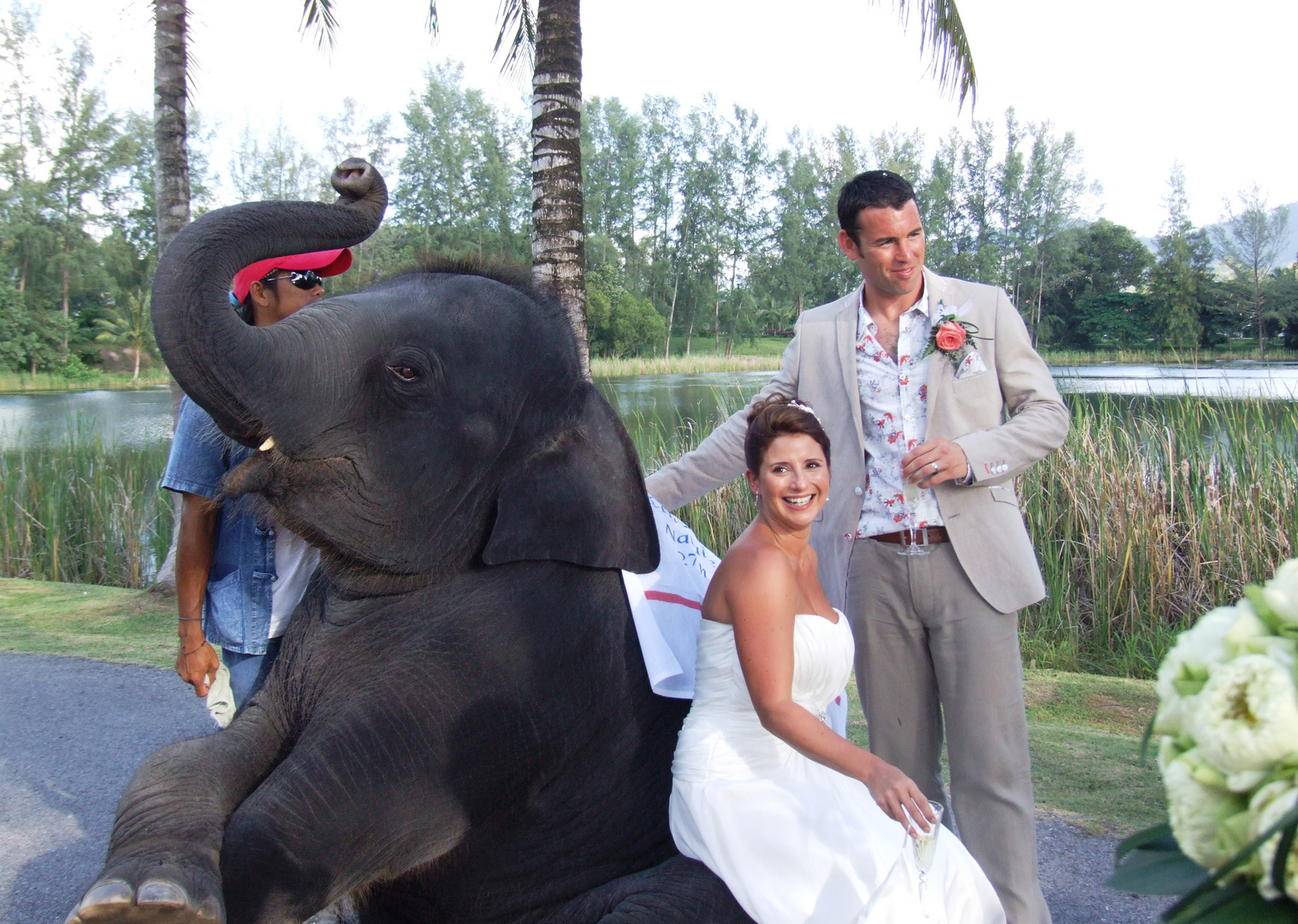 An Unusual Wedding Guest!!