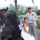 An Unusual Wedding Guest!!