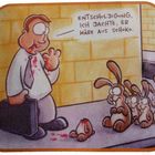 An Weihnachten leben Osterhasen sicherer !