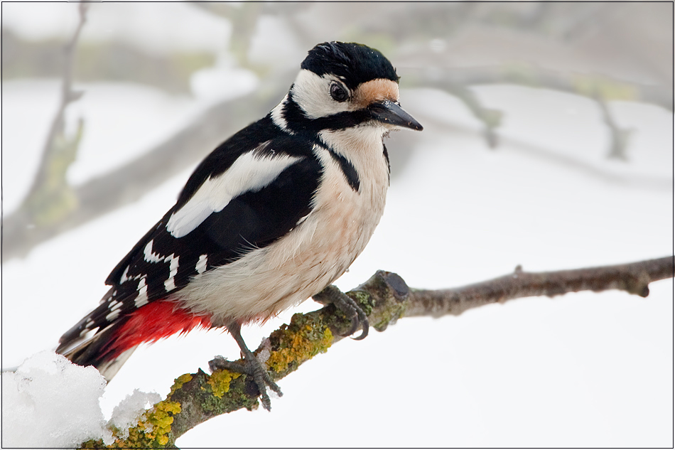 An Wintertagen