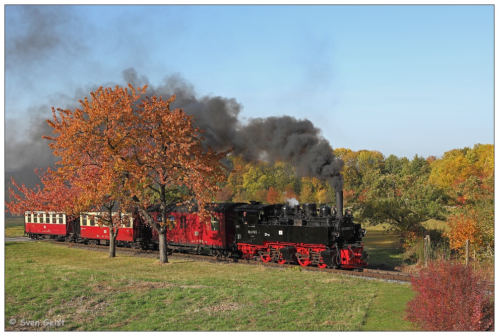 An zwei herbstlichen Kirschbäumen