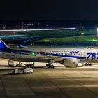 ANA 787 in Düsseldorf