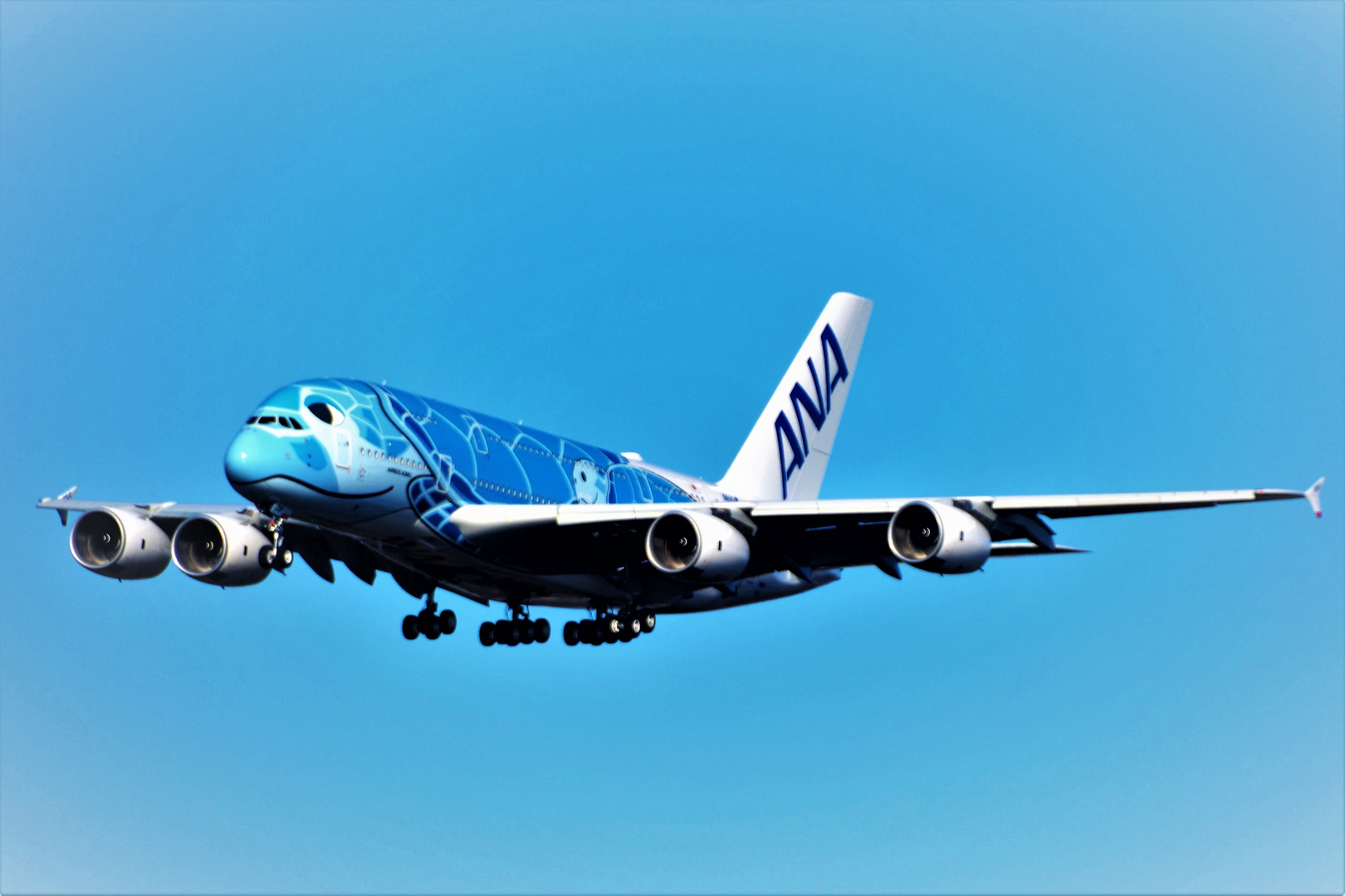 ANA  -  AIRBUS 380