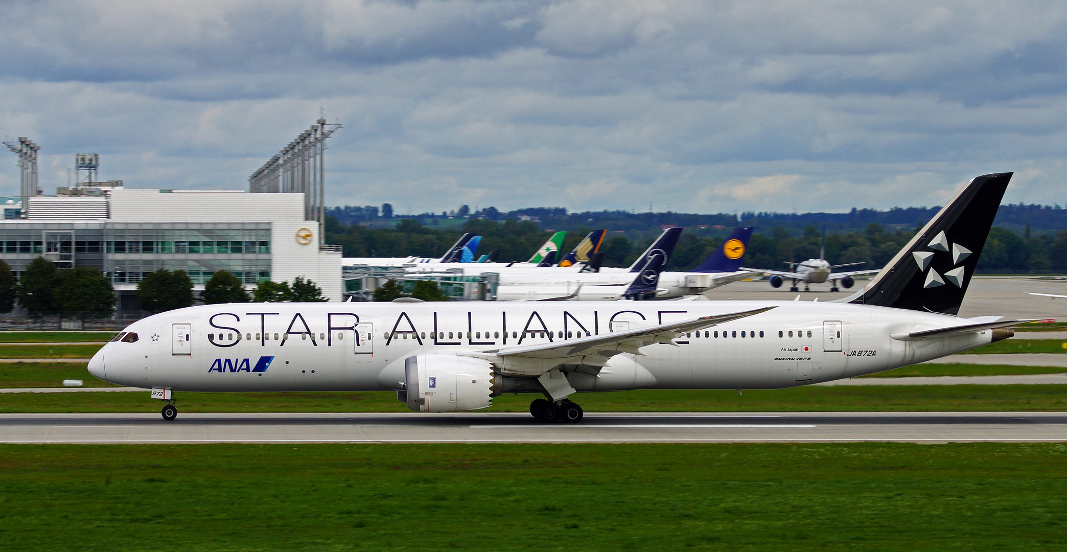 ANA - All Nippon Airways / Star Alliance Livery