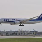 ANA Dreamliner