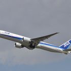 ANA JA781A