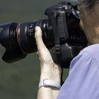 User Profile Photo