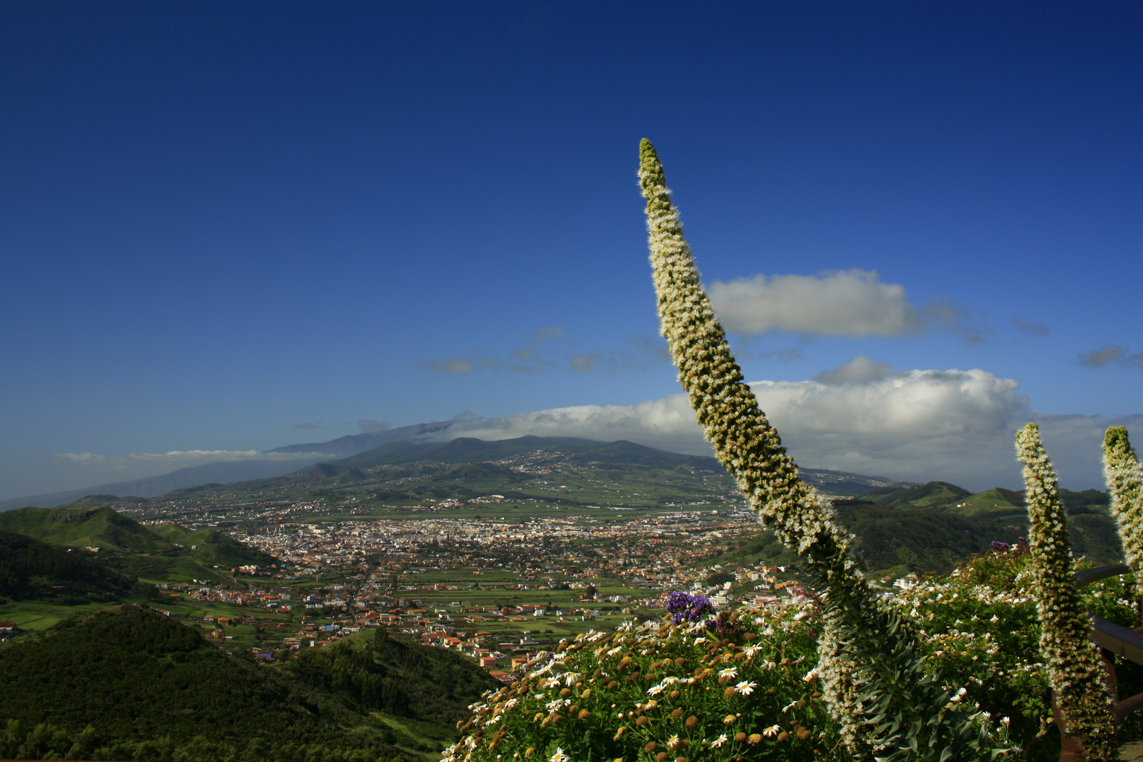 Anaga Gebirge