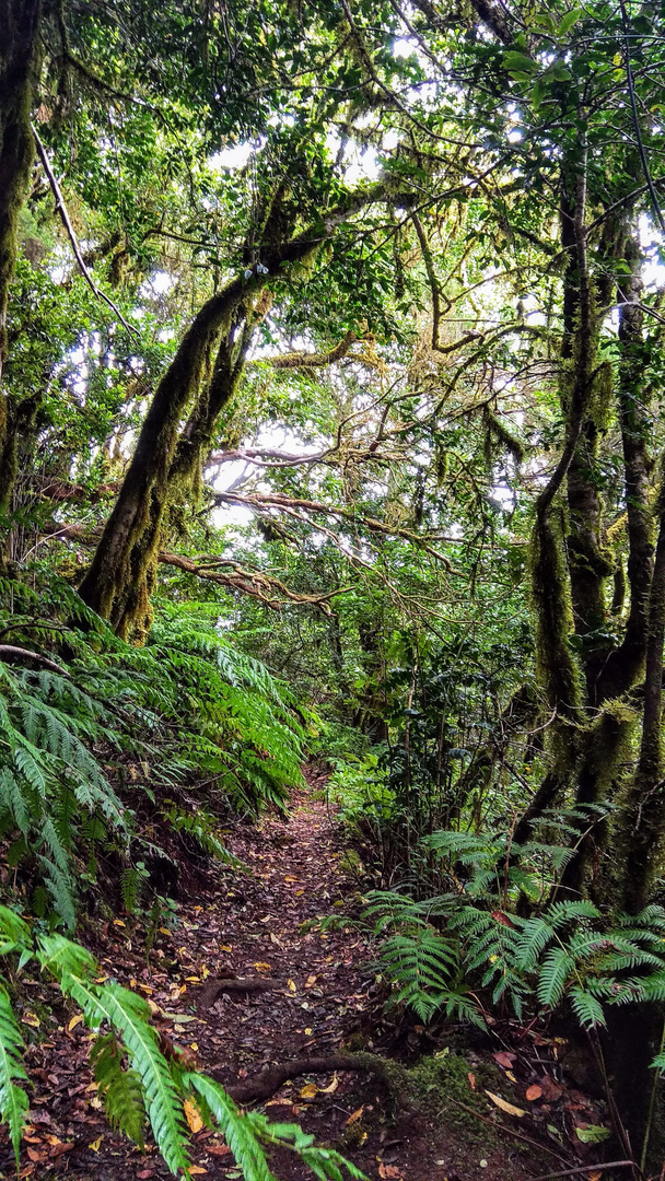 Anaga Gebirge - Teneriffa