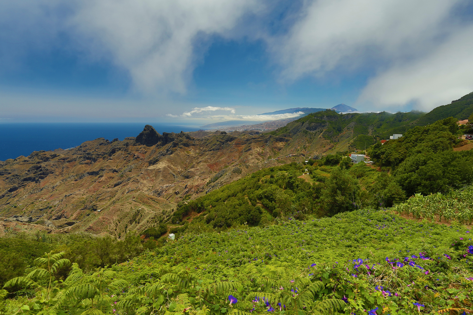 Anaga II Foto & Bild europe, canary islands die kanaren, spain Bilder