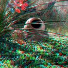 Anaglyph Park 17