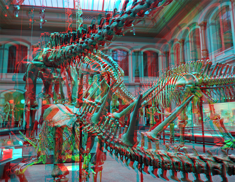 Anaglyphe - Saurierhalle Naturkundemuseum Berlin