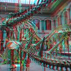 Anaglyphe - Saurierhalle Naturkundemuseum Berlin