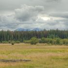 AnahimLake_Prairie_08