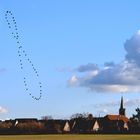 Analemma oder "Die himmlische Acht"