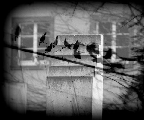 analoge Doppelbelichtung,