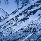 Analoge Schätze, Digital Entdeckt: Winter im Yukon, Kanada