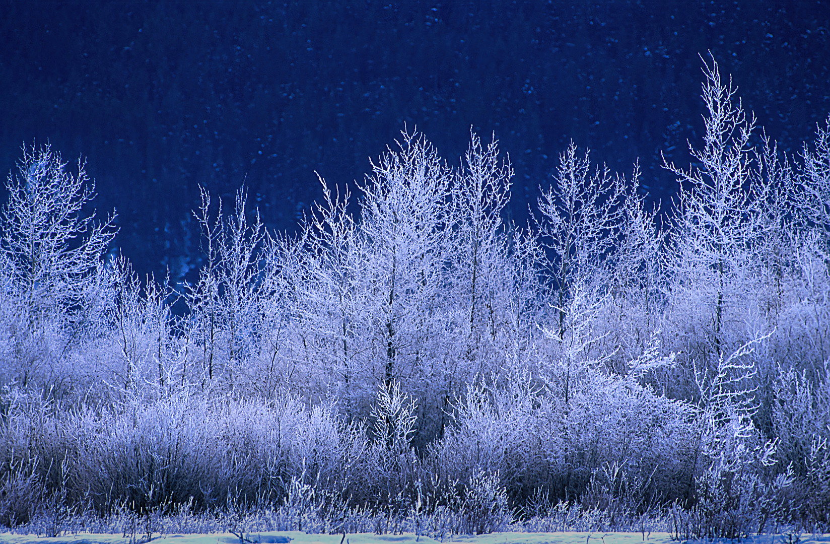 Analoge Schätze, Digital Entdeckt: Winter im Yukon, Kanada