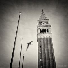 Analoge Schwarzweiss-Fotografie: Venedig - Campanile