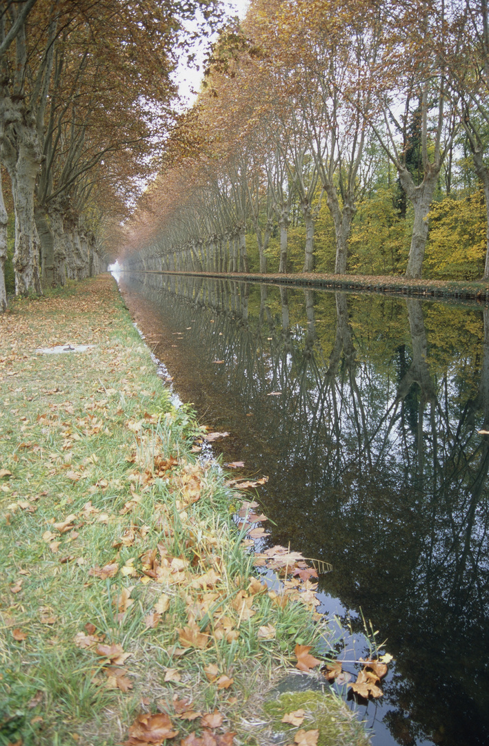 analoger November am Kanal