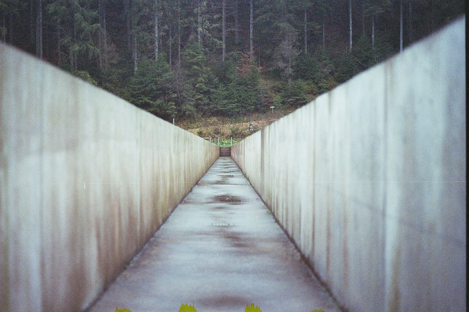 Analogfotografie: Ein anderer Blickwinkel