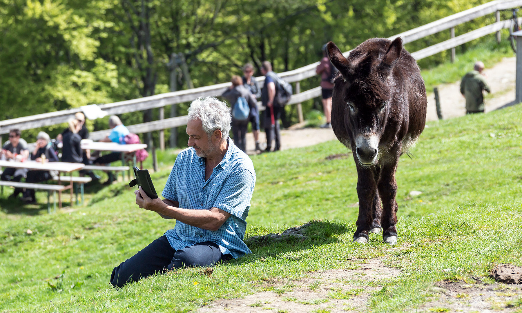 Analyse du selfie