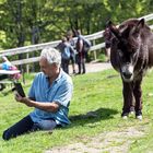 Analyse du selfie