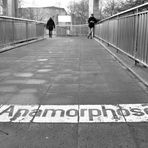 Anamorphosen