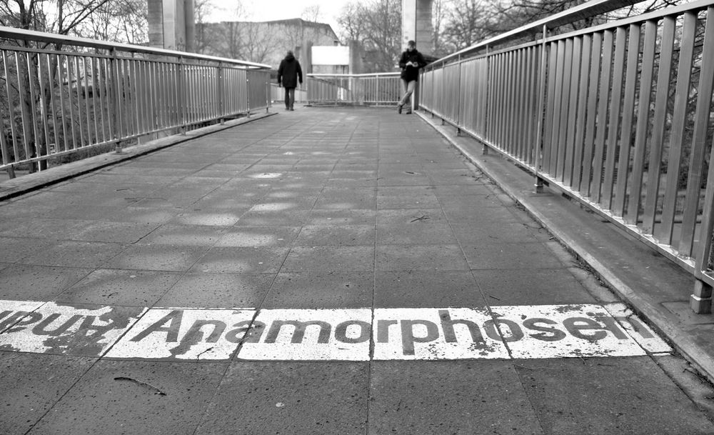 Anamorphosen