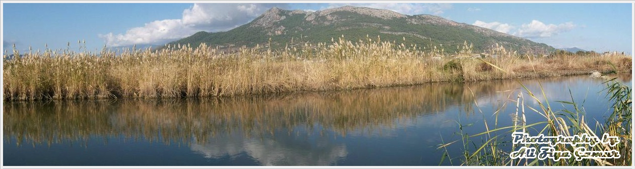 Anamur reeds from the panoramic landscape ...