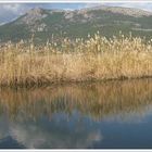 Anamur reeds from the panoramic landscape ...