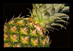 Ananas