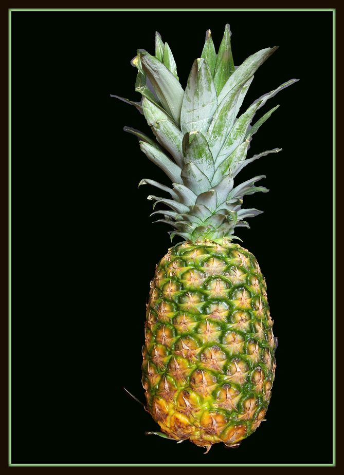 Ananas