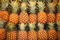 Ananas