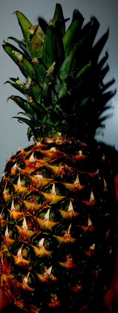 Ananas