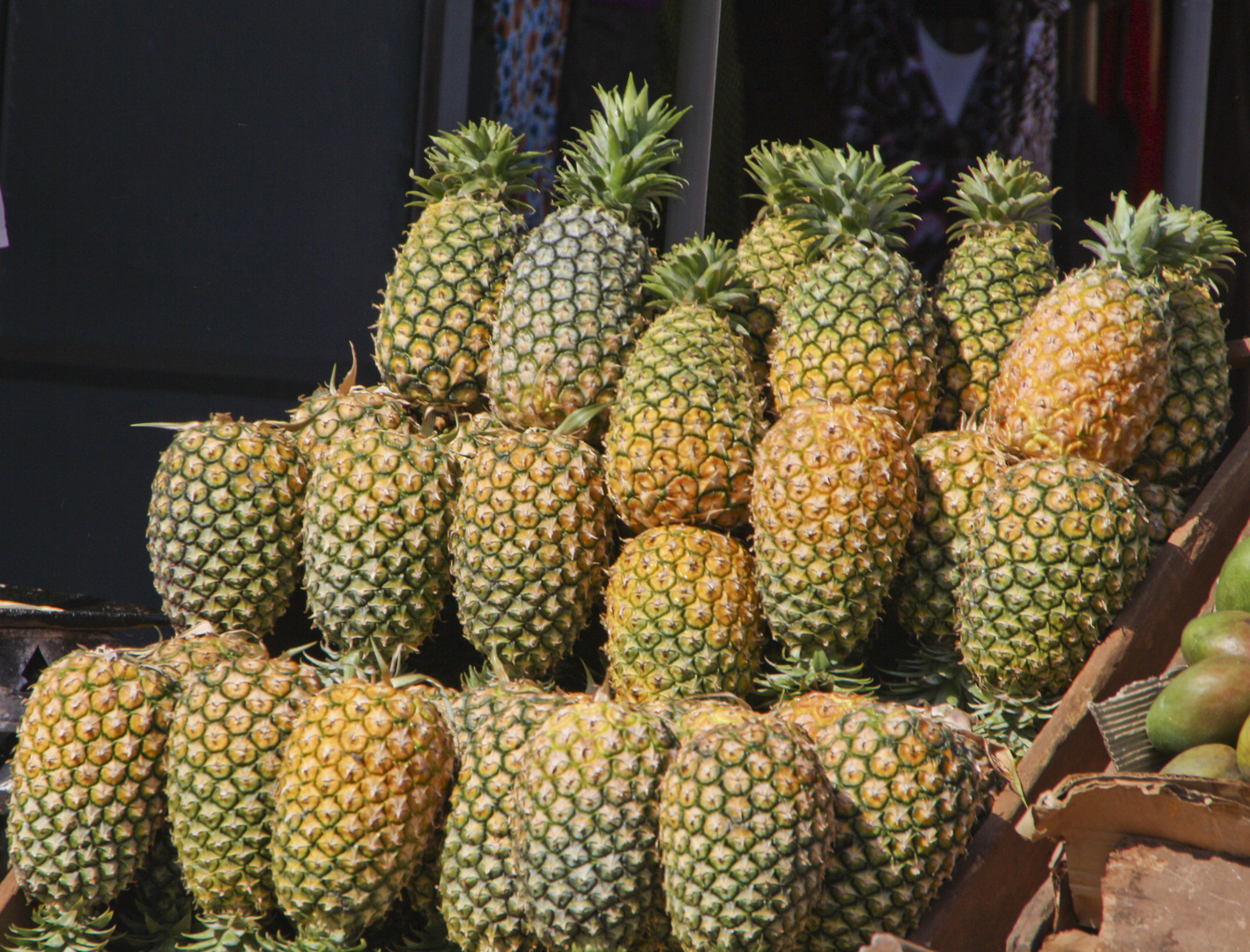 Ananas