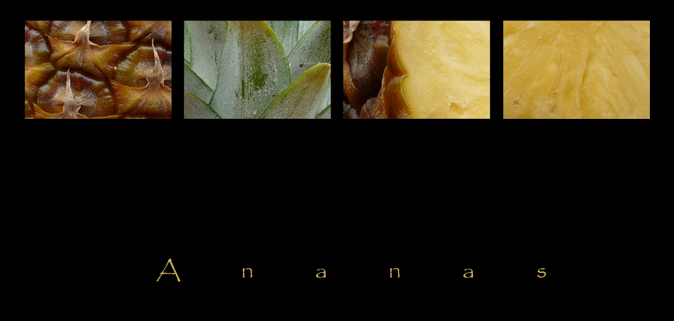 . ananas .